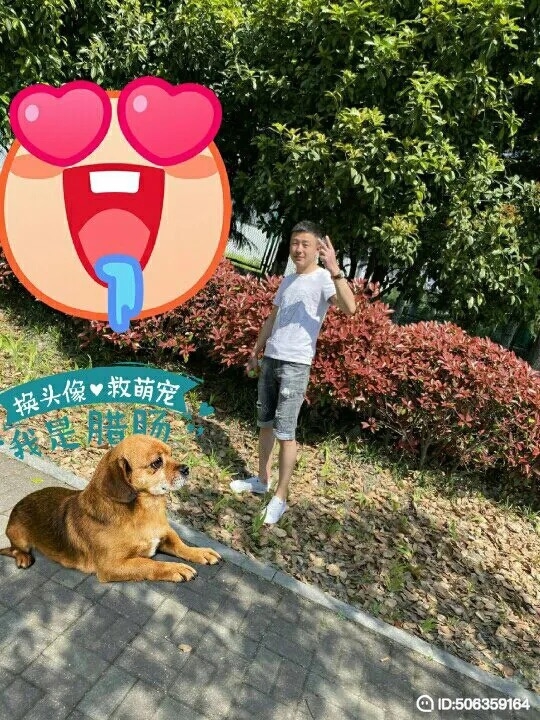 我若不坚强谁替我勇敢的第一张照片--济宁相亲服务中心