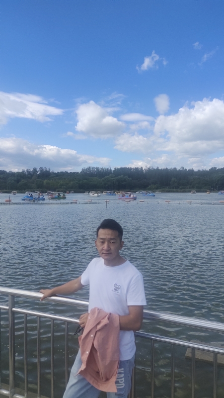 脱了壳的龟的第一张照片--济宁相亲服务中心