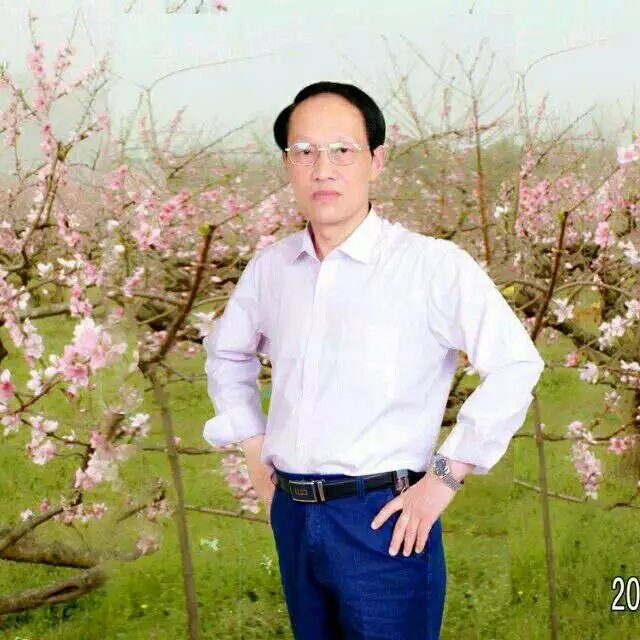 枫叶的第一张照片--济宁相亲服务中心